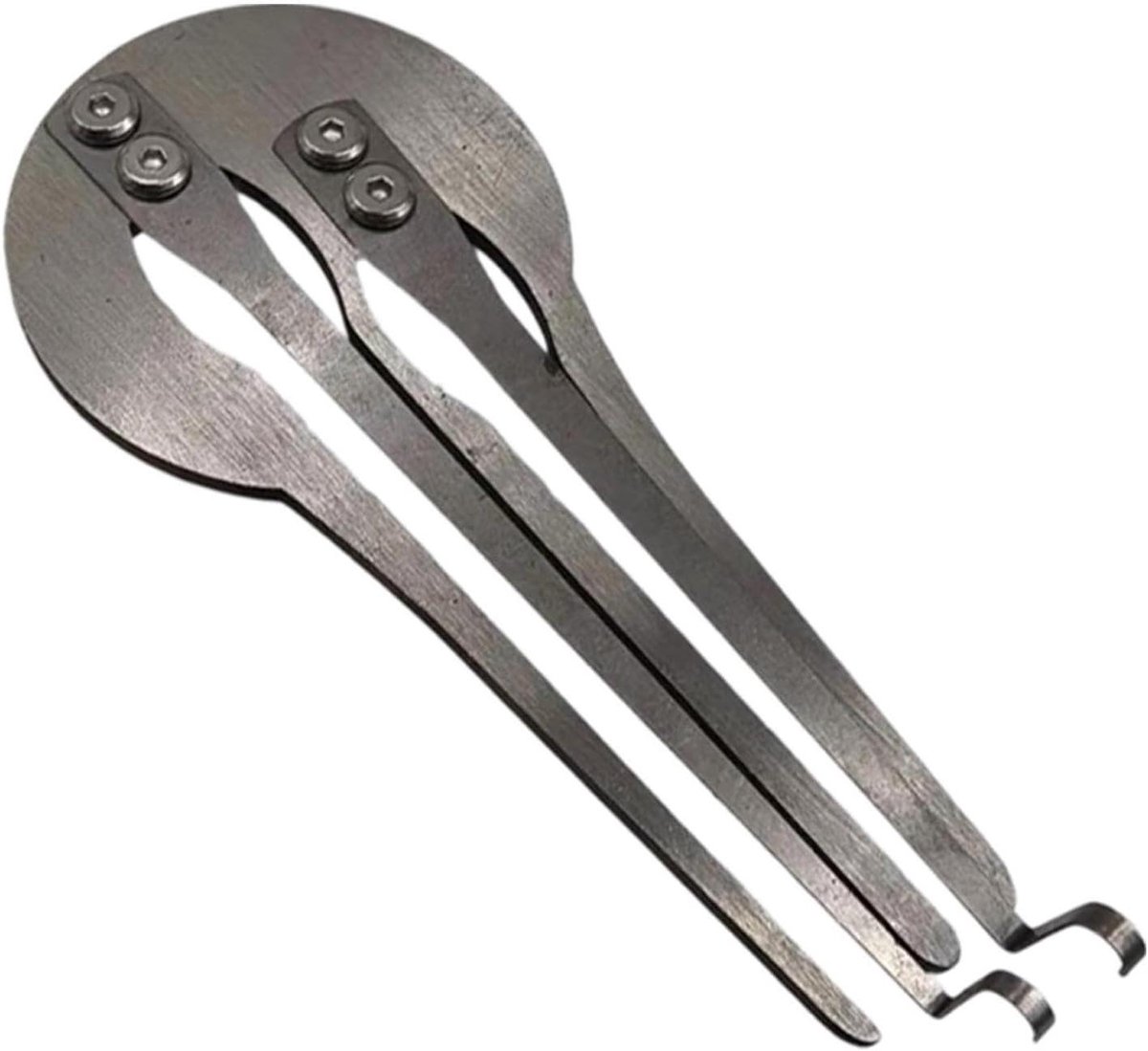 Mondharp Instrument - Kaakharp Muziekinstrument - Muziek Maken - Beginner Vriendelijk - 10 x 6 cm - Zilver