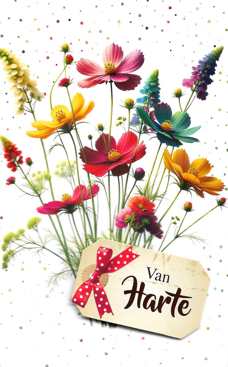 Wenskaart | 6 stuks | ADIOS applicatiekaart Van harte