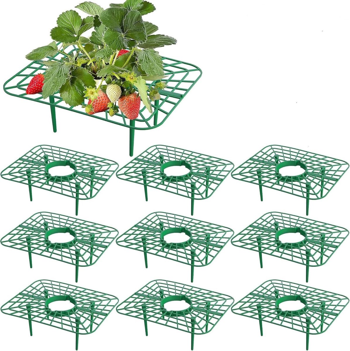 20 Stuks Aardbeienplant Ondersteuning, Stevige Groeiracks met 4 Robuuste Poten voor Schone Bessen en Betrouwbare Bescherming