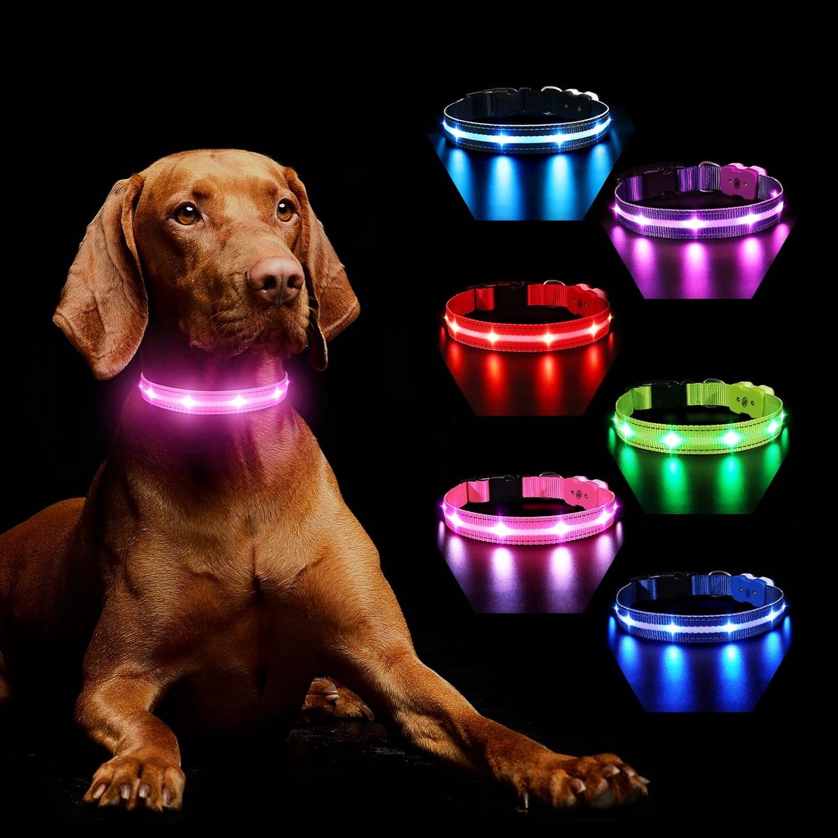 Lichtgevende hondenhalsband, oplaadbaar, voor in het donker, 7 kleuren, 8 knippermodi, verstelbaar, waterdicht, halsband met ledverlichting voor grote, middelgrote en kleine honden