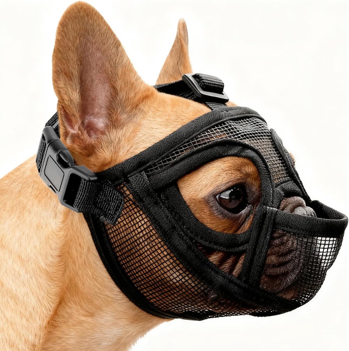 bulldog muilkorf, muilkorf voor kleine honden, muilkorf, gifaas, hondenmuzzle, anti-biting, kauwen, blaffen, hondenmuilkorf met afgevlakte snuit, Duits (M)