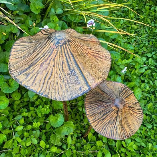 Tuinsteker in paddenstoelvorm, tuindecoratie, plugin, roest, grote paddenstoelen, tuindecoratie, grondpen voor bloembed, voor buiten, paddenstoeltuindecoratie (3 stuks) — afbeelding 2