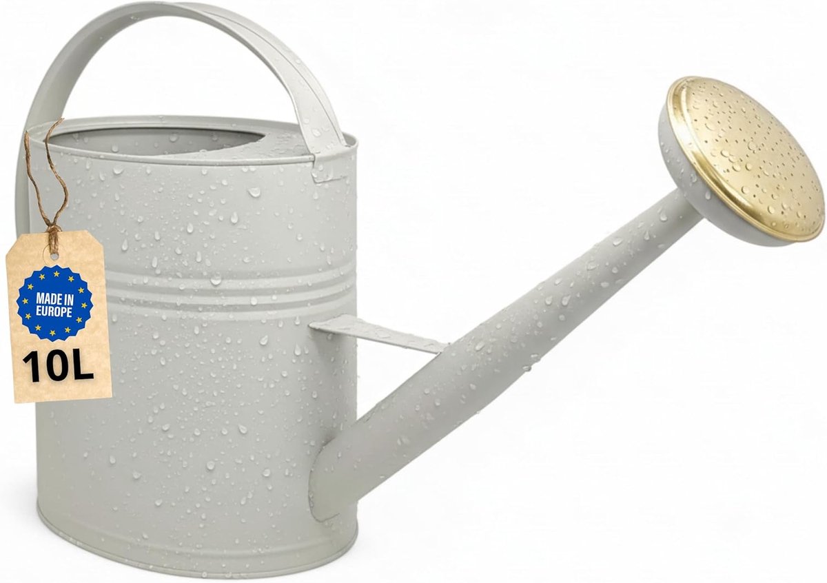 SnelShoppen - Gieter 10 liter, metalen gieter voor tuin en balkon, hoogwaardige verzinkte gieter met afneembare sproeier, retro design met messing spr