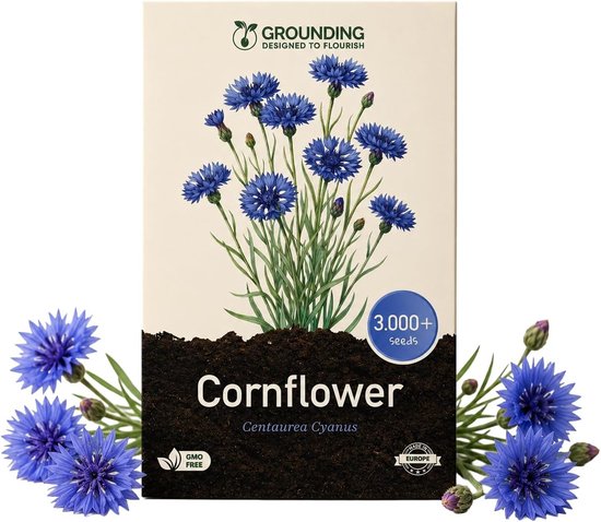 SnelShoppen - Grounding - Dubbele Zaden van Blauwe Korenbloem (Centaurea cyanus) - 3000+ Zaden - Intense Blauwe Bloemen voor Tuinen en Bloembedden