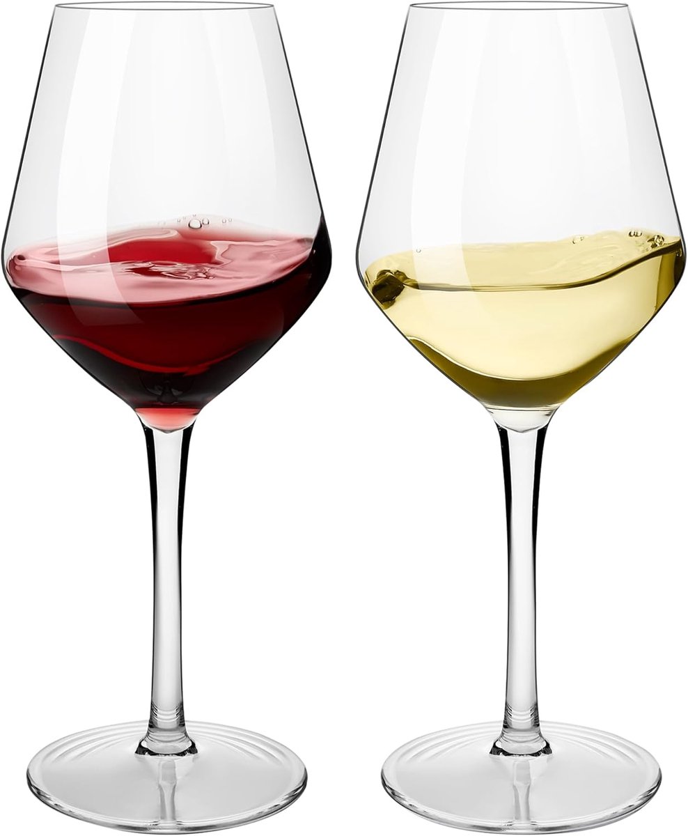 SnelShoppen - HAHASHOW Plastic Wijnglazen 440ml - Schokbestendige Tritan Party Glazen voor Camping, Buiten en Thuisgebruik - Lichtgewicht en Veilig (S