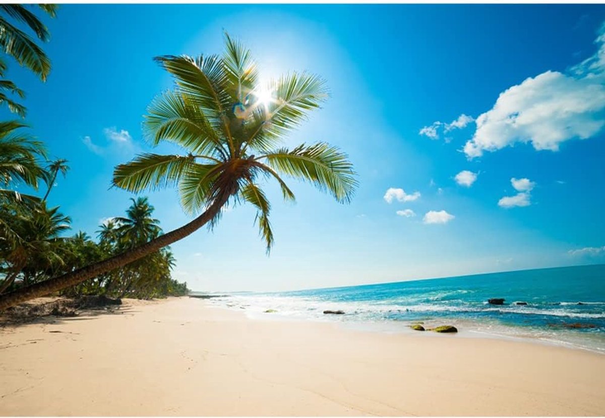 SnelShoppen - 3x2m Tropical Beach Achtergrond Zeeblauwe Oceaan Palmbomen Fotografie Achtergrond voor Bruiloft, Zomerfeest, Kinderen en Volwassenen