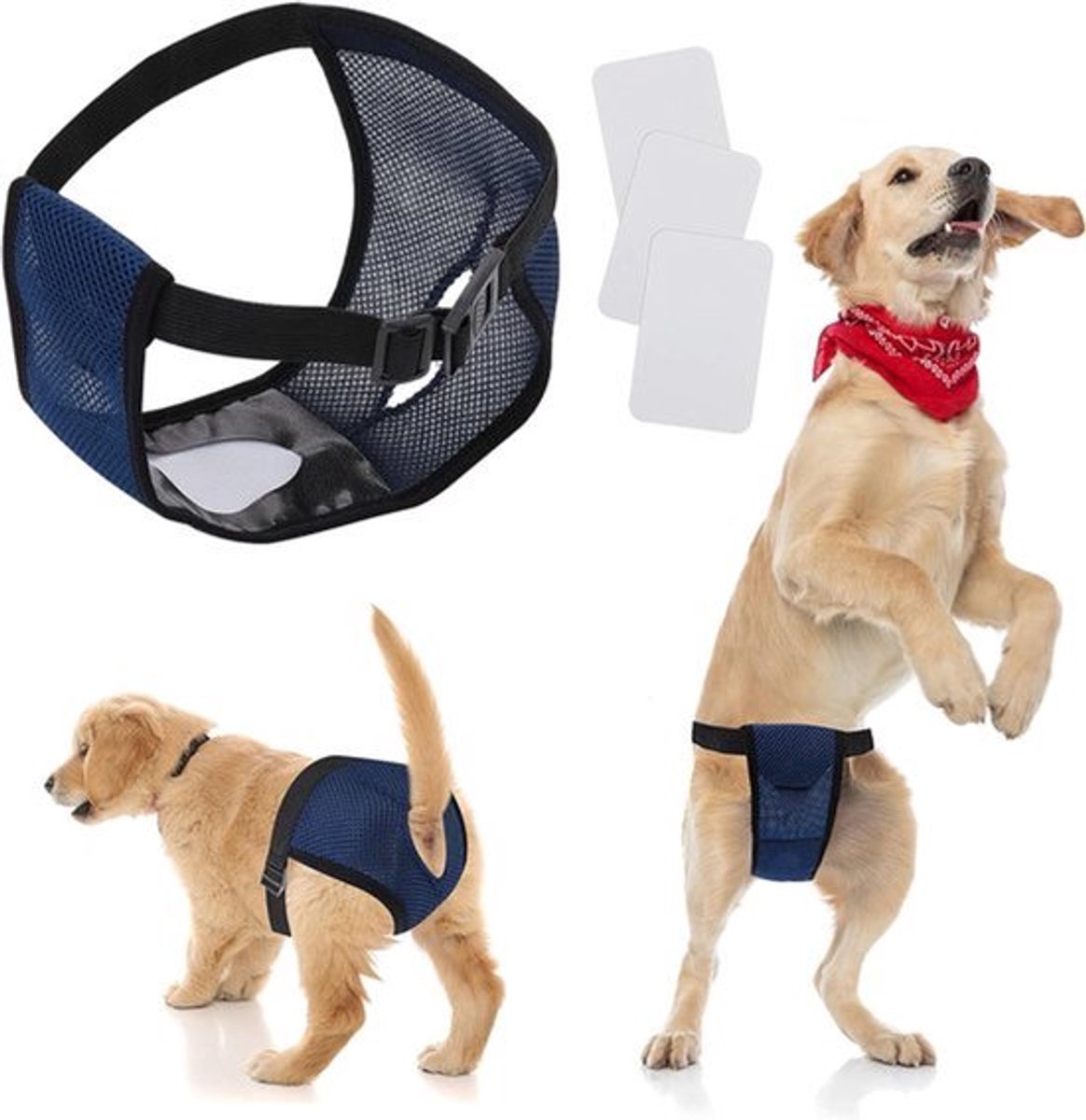 Maandverband Mesh Vrouwelijke Hond Wrap Wasbare Wraps Slipje voor Vrouwelijke Huisdieren Menstruatie Ondergoed Sanitaire Luiers Periode Onderbroek voor Kleine Medium Grote Honden.