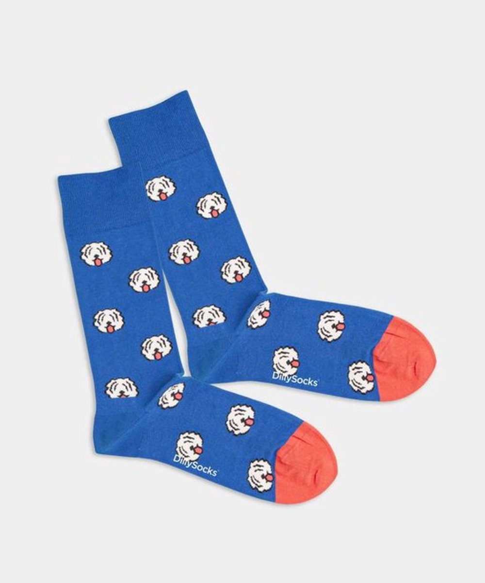 DillySocks Fido 41-46