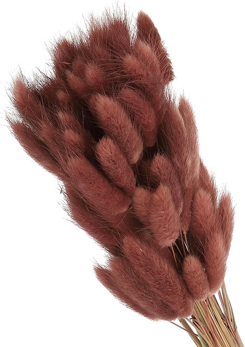 Gedroogde bloemen, 70 stuks, natuurlijke konijnenstaart, pluizig, voor huisdecoratie, boho, bruiloftsvaas, bruin rood