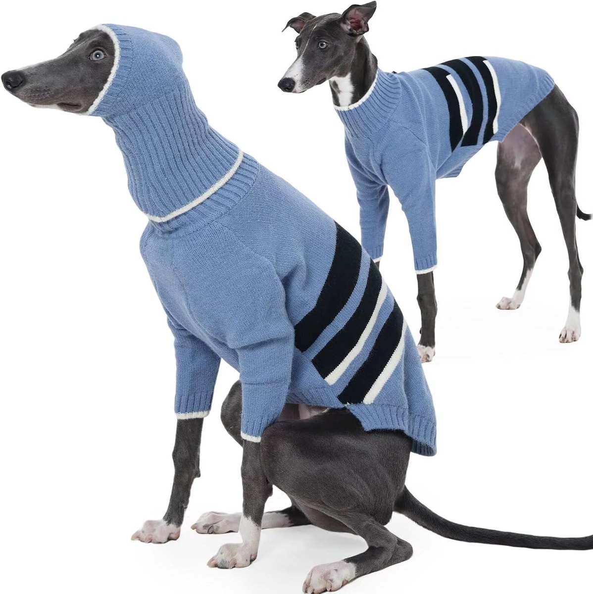 Hondentrui middelgrote honden