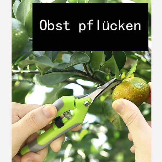 Snoeischaren kleine Precisie snoeischaar Professionele takkenschaar tuinscharen voor de tuin bonsai-schaar oogstschaar plantenschaar bloemenschaar (Groen + Oranje, 2 stuks) — afbeelding 5