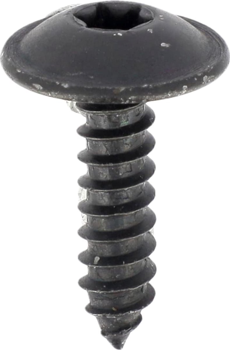 brede kop, binnenbekleding, RLX, Torx-voetafdruk, in zak, 4,2 mm x 16 mm, zink, zwart, 20 stuks