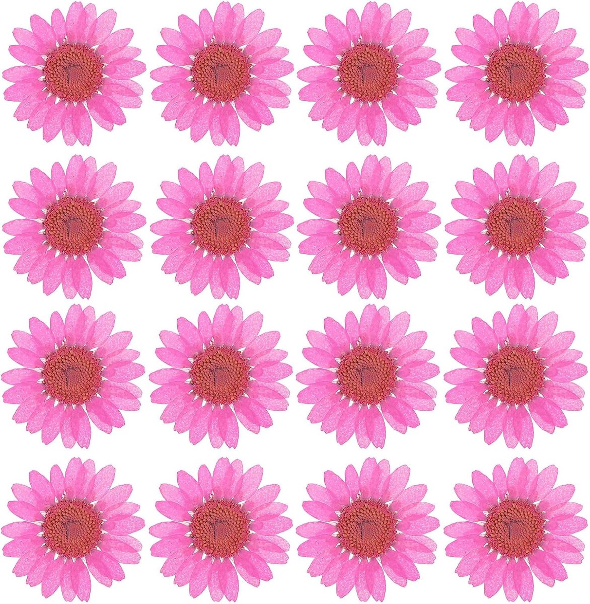 Gedroogde geperste bloemen, madeliefjes, natuurlijke madeliefjes voor doe-het-zelf handwerk, wooncultuur, nageldecoratie, rood roze