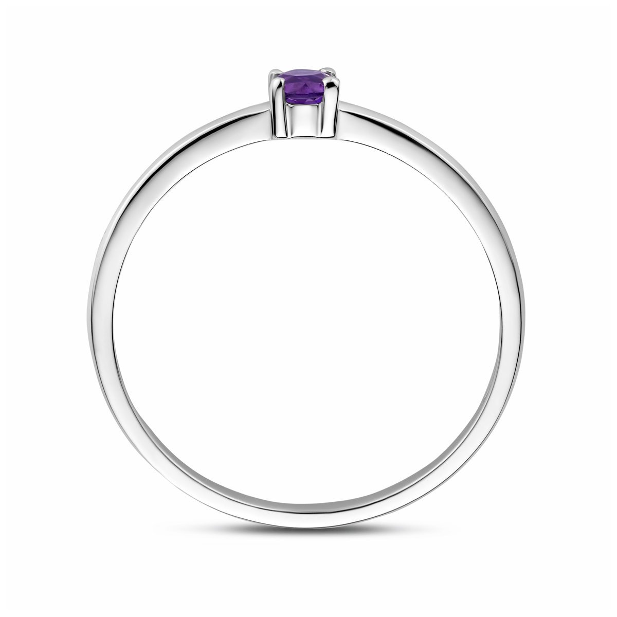 Gerhodineerd Zilver Ring Met Geboortesteen Amethist Februari 1337074