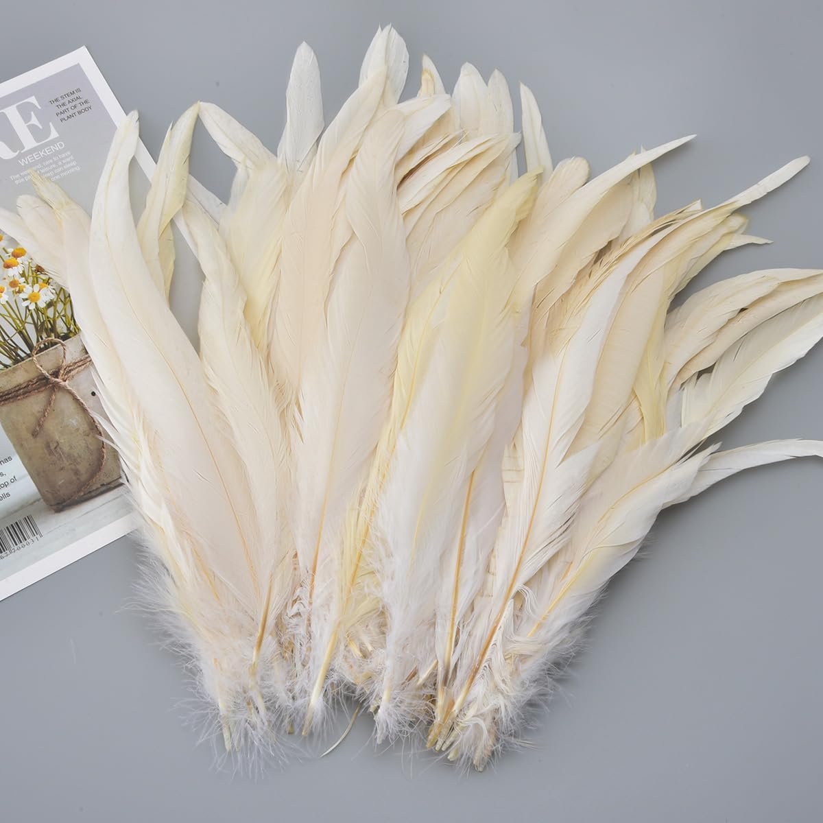Veren, 25-30 cm, verpakking met 50 stuks, meerkleurig, gedempt voor carnaval, Halloween, bruiloft en dromenvanger, handgemaakt, wit, wit