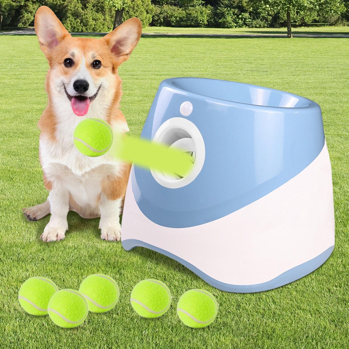 SolidKeus - Automatische Ballenwerper voor Honden met 6 Tennisballen