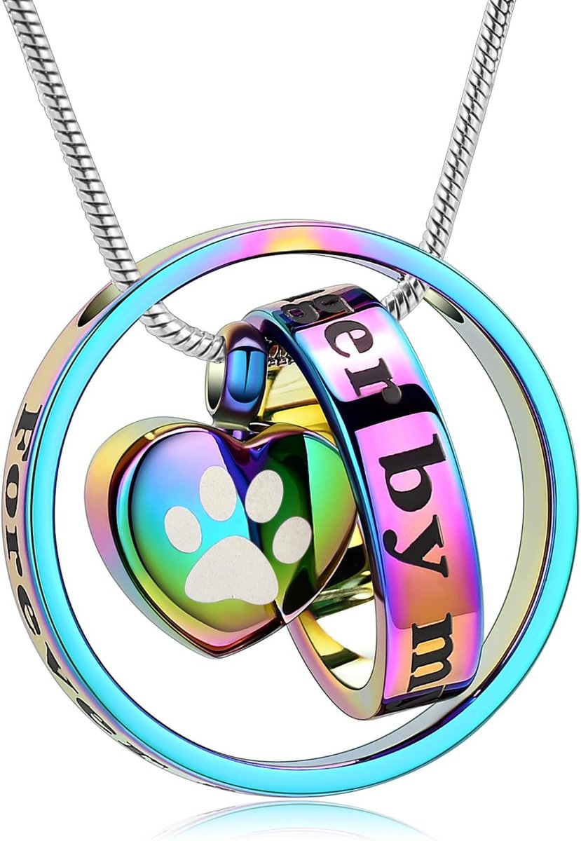 Altijd in mijn hart, niet meer aan mijn zijde huisdier creatie sieraden voor as van hond/kat begrafenis aandenken urn halsketting Paw Print Memorial halsketting