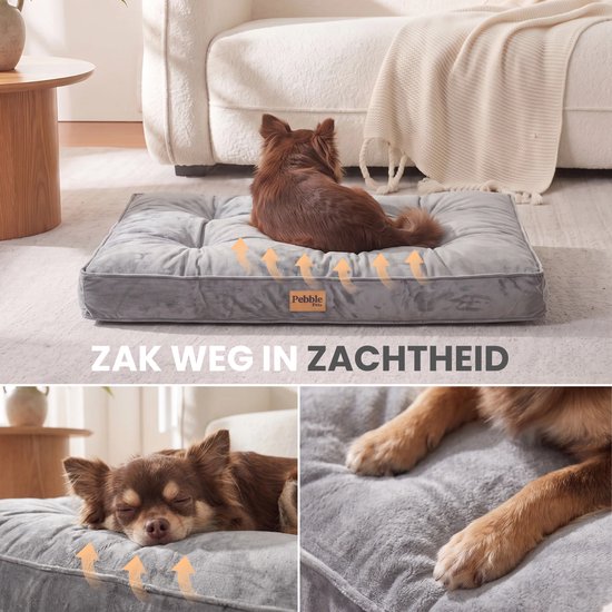 Hond op grijs fluwelen kussen, met tekst 'ZAK WEG IN ZACHTHEID' en illustraties van comfort.