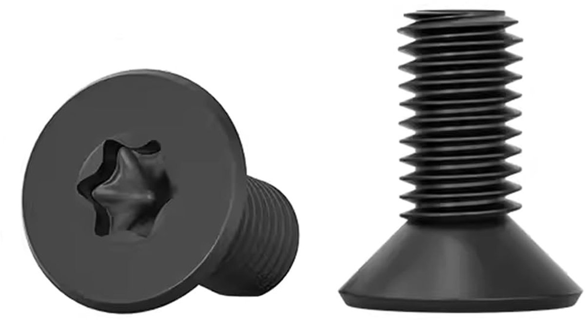 SolidKeus - Set van 20 RVS Torx Schroeven M5 x 12mm