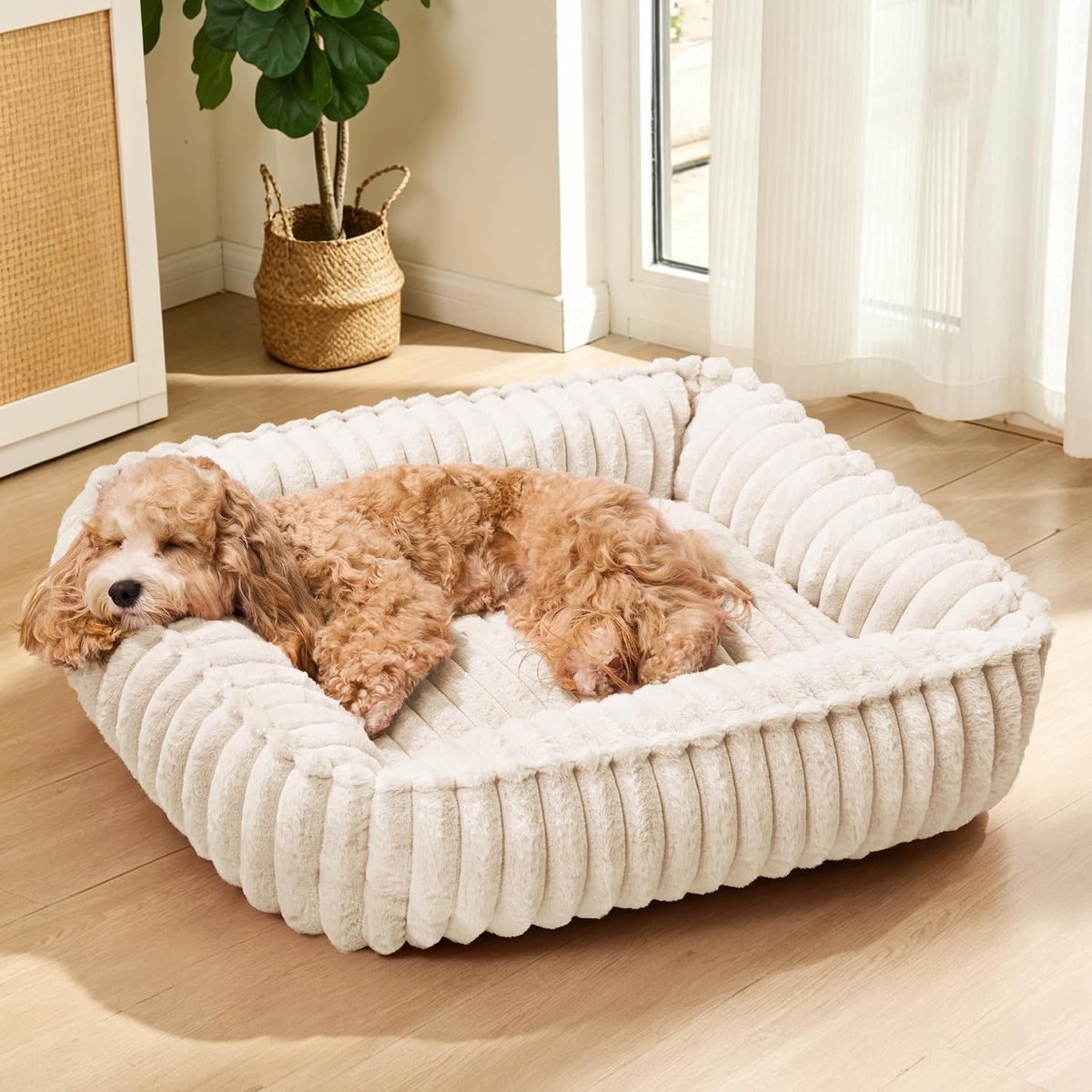 Hondenbed grote hond 90 x 70 cm, rechthoekige orthopedische zachte slaapbanken voor huisdieren, anti-angst gezellige wasbare huisdierbank met antislipbodem, ivoor