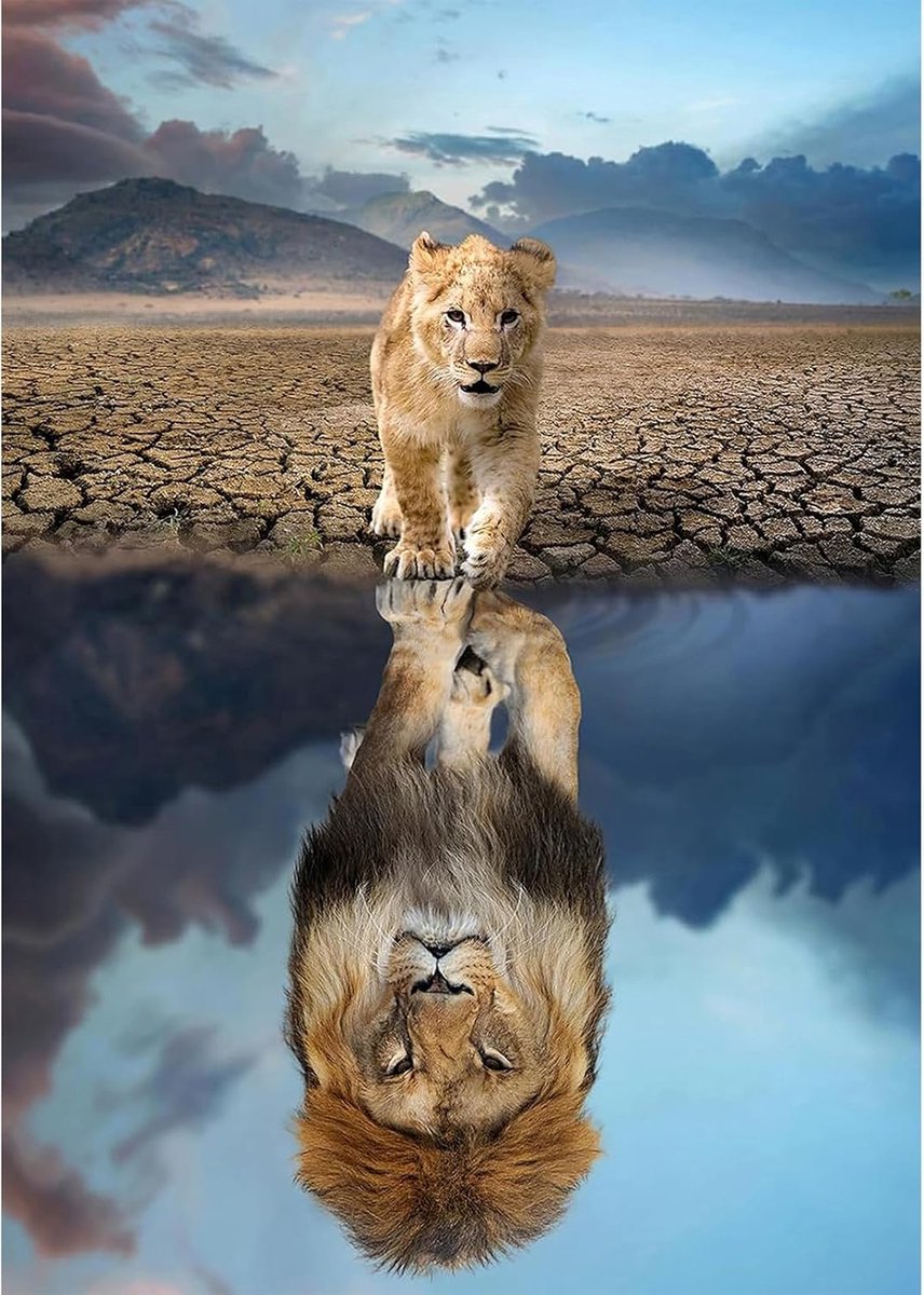 Diamond Painting Art Lion Reflection, 5D Diamond Painting Kits for Adults Kids Wall Art Diamond Art, Diamond Painting Kit DIY Gem Art Crystal Art Cross Stitch for Home Wall Decor 30x40cm