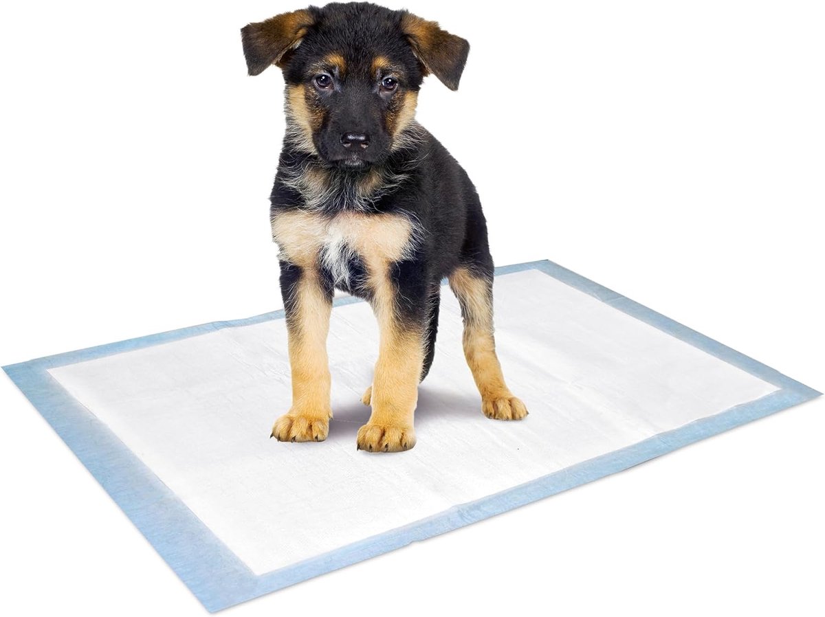 Puppy Pads Trainingsmat, 60x40 cm