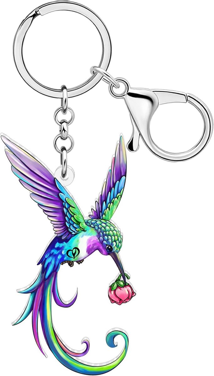 Leuke Kolibrie Sleutelhanger Vogel Accessoires Kolibrie Geschenken Voor Vrouwen Vogel Liefhebbers Meisjes Rugzak Purse Charms