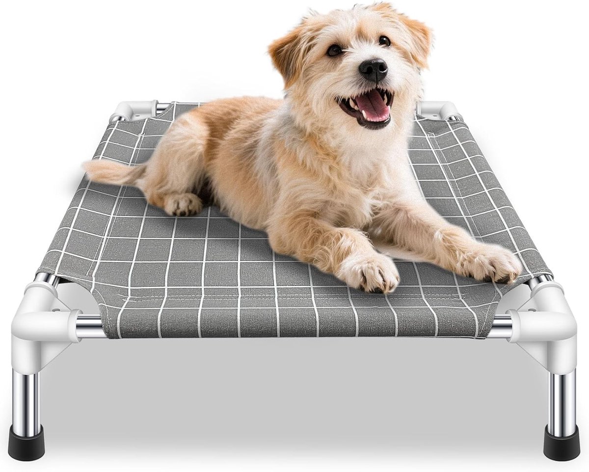 Kattenstoel op pootjes - Wit - Small - Verhoogd Hondenbed met Roestvrijstalen Frame - Voor Kleine Huisdieren