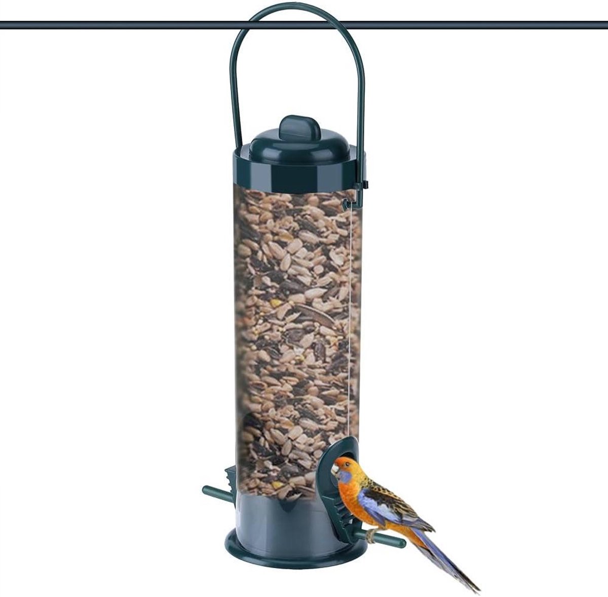 Vogelvoederhuisje - Vogelhuis - Vogels voeren - Transparante bak - 29 cm hoog - Groen transparant