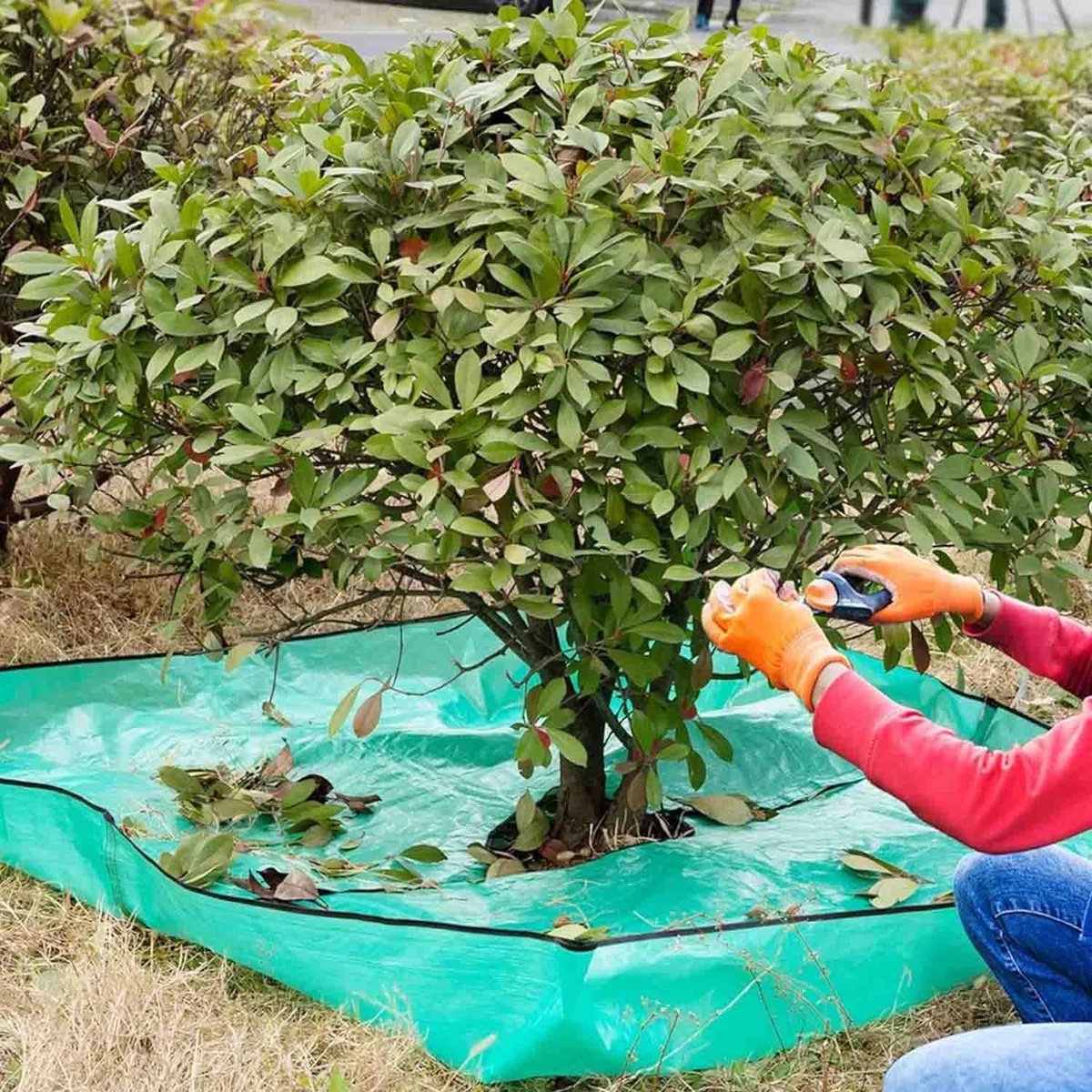 Plantenmat voor het trimmen met 30 cm gat, boomsnoeien, waterdicht, tuinlandschap, tarp, 4 hoeken met hoekgespen kunnen opstaan om bomen en struiken te bevestigen, Tuinieren