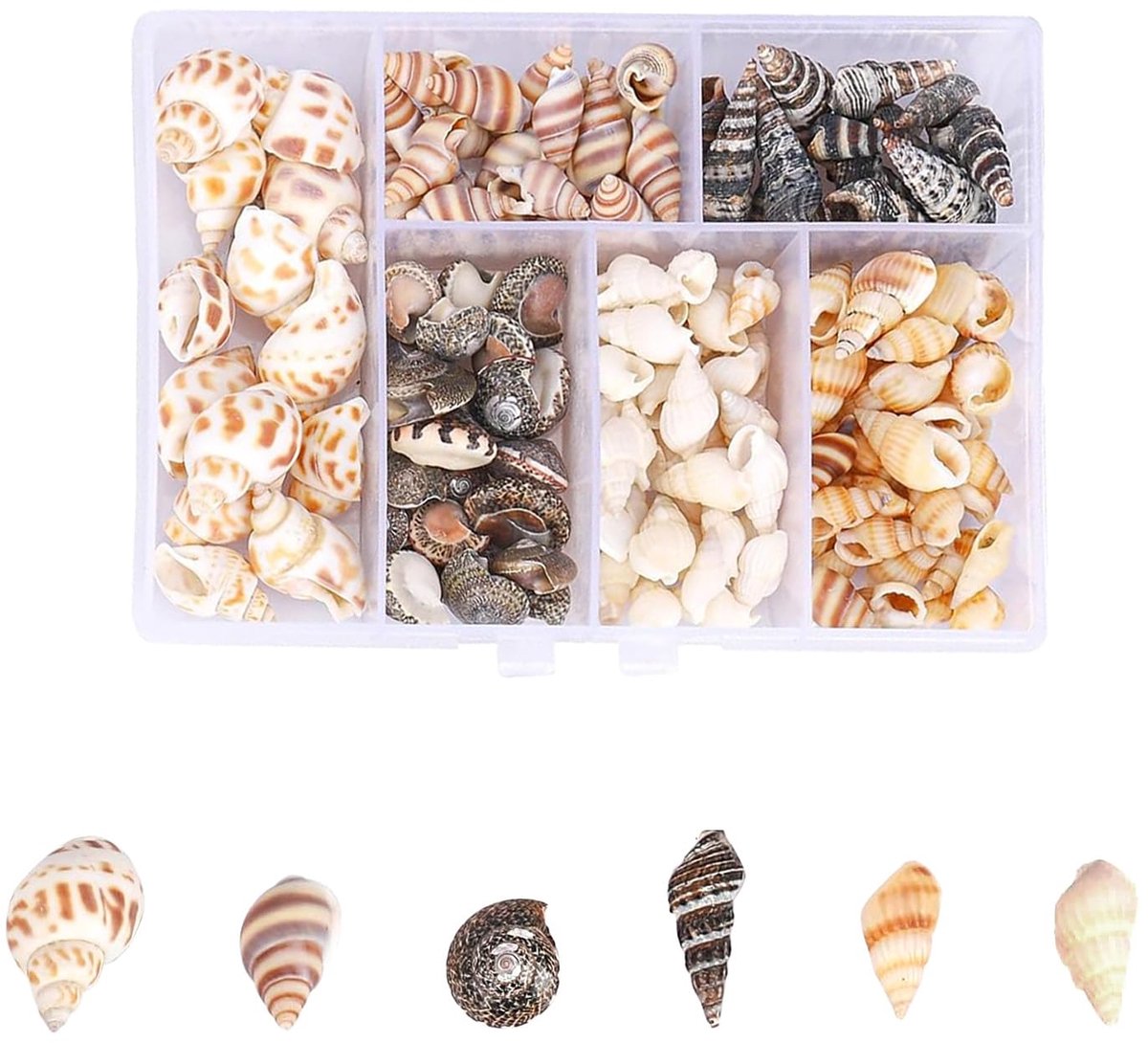 100 stuks schelpen, gemengde schelpen, decoratie, schelpen om te knutselen voor strandthemafeesten, aquarium en vaasvullingen, doe-het-zelf kunsthandwerk, kaarsen maken, bruiloftsdecoratie