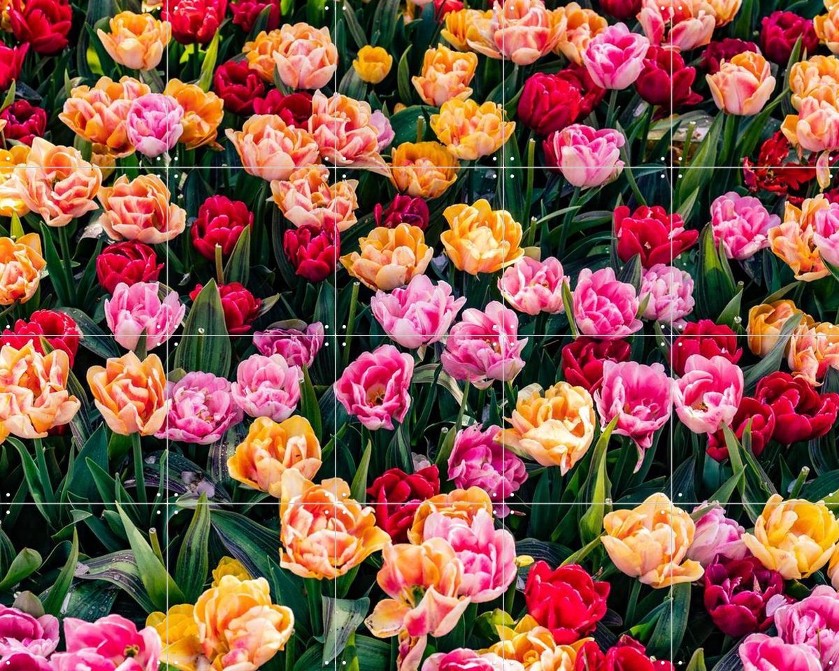 IXXI Keukenhof, Margriet Hulsker - 100 x 80 cm - Gratis ophangtool - Grote wanddecoratie en posters - Fotografie, Kleurrijk, Woonkamer, Eetkamer