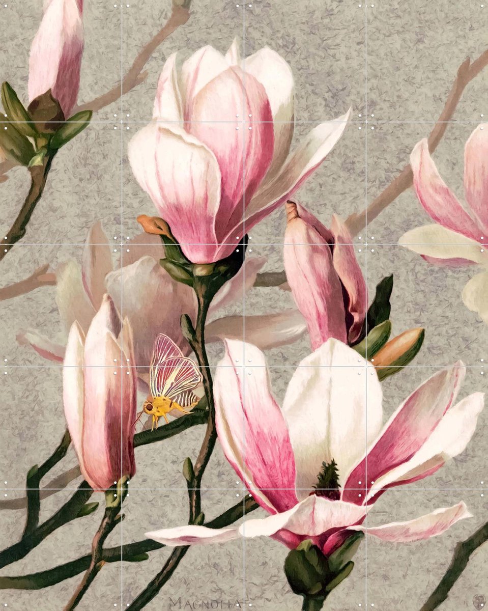 IXXI Magnolia, Moonheart Artworks - 80 x 100 cm - Gratis ophangtool - Grote wanddecoratie en posters - Vintage, Woonkamer, Slaapkamer, Bloemen