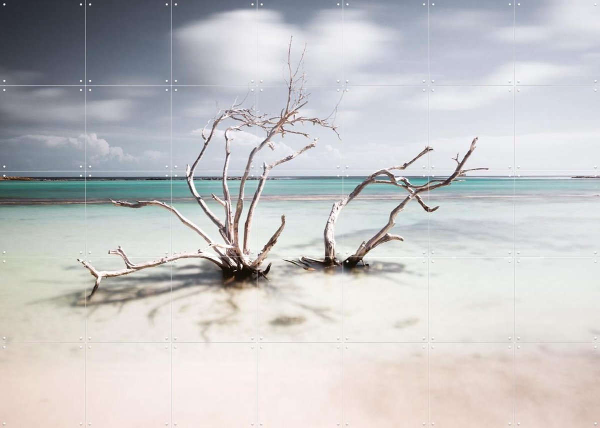 IXXI Tropical Silence The Hatstand, Claire Droppert - 140 x 100 cm - Gratis ophangtool - Grote wanddecoratie en posters - Realisme, Fotografie