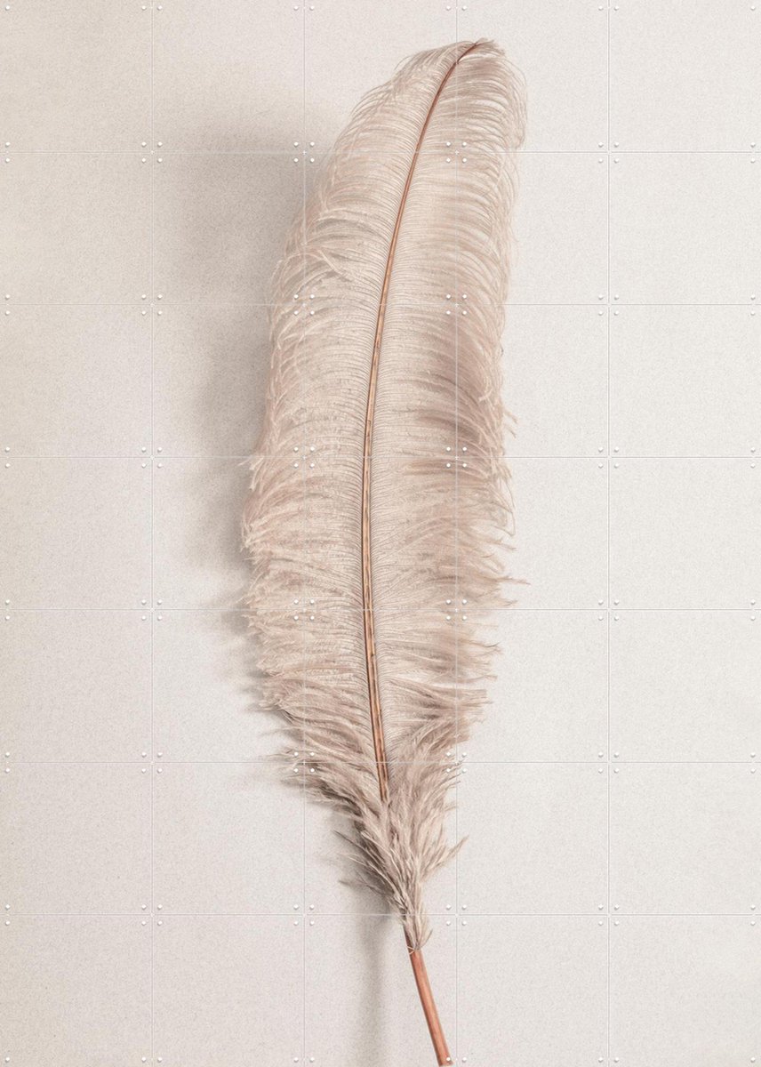 IXXI Feather, 1x Studio II & Various - 100 x 140 cm - Gratis ophangtool - Grote wanddecoratie en posters - Decoratieve kunsten, Art Deco, Modern