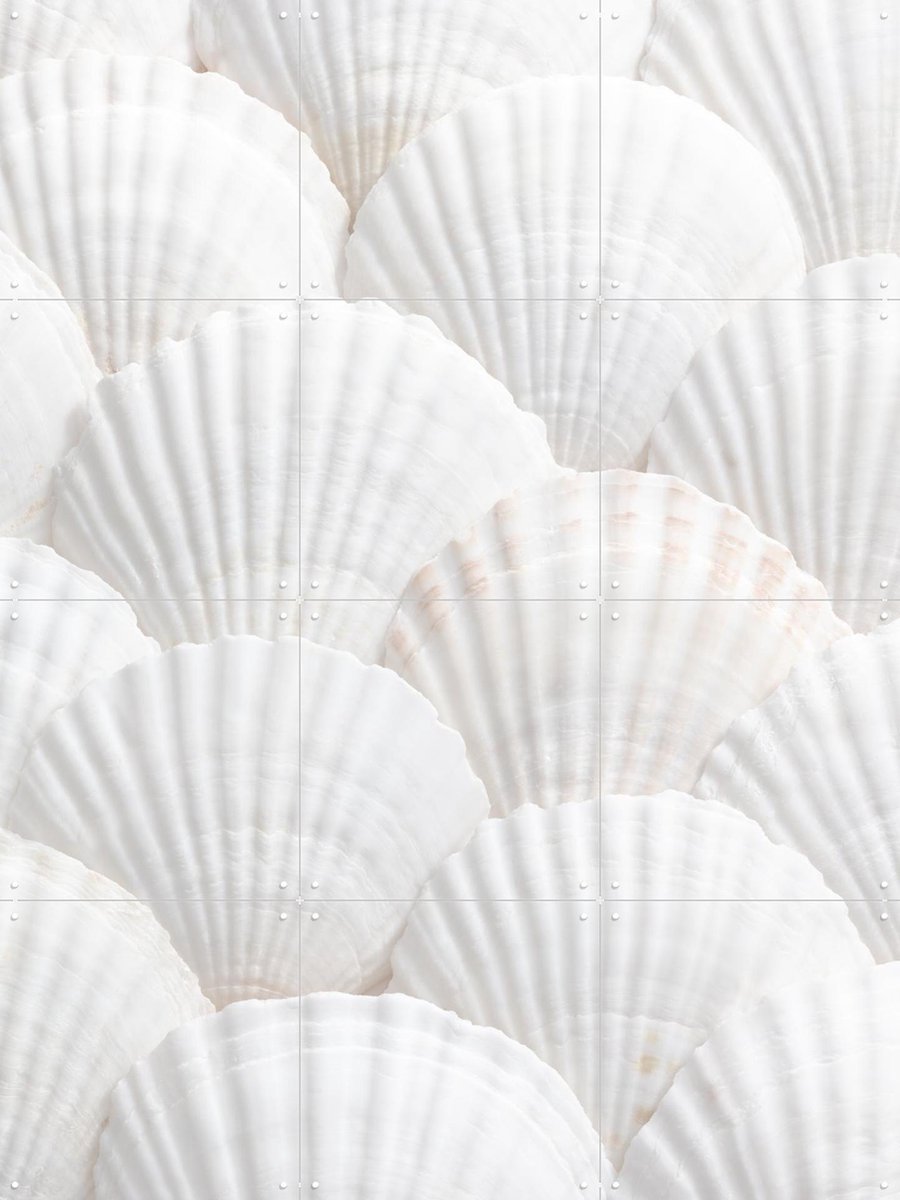 IXXI Seashell Symphony, 1x Studio II & Various - 60 x 80 cm - Gratis ophangtool - Grote wanddecoratie en posters - Modern, Abstract, Minimalisme