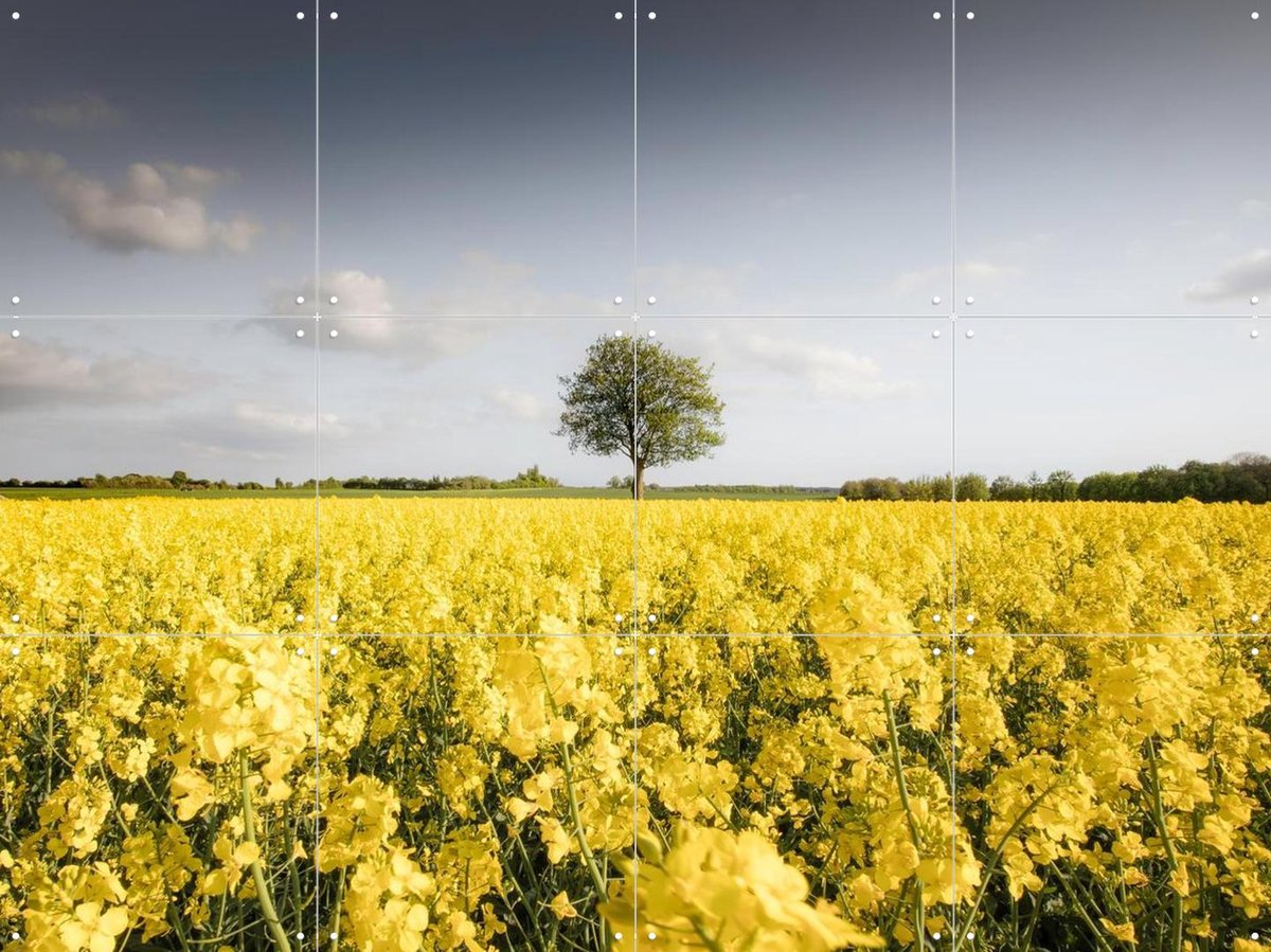IXXI Golden Field Morning, Claire Droppert - 80 x 60 cm - Gratis ophangtool - Grote wanddecoratie en posters - Fotografie, Woonkamer, Studeerkamer