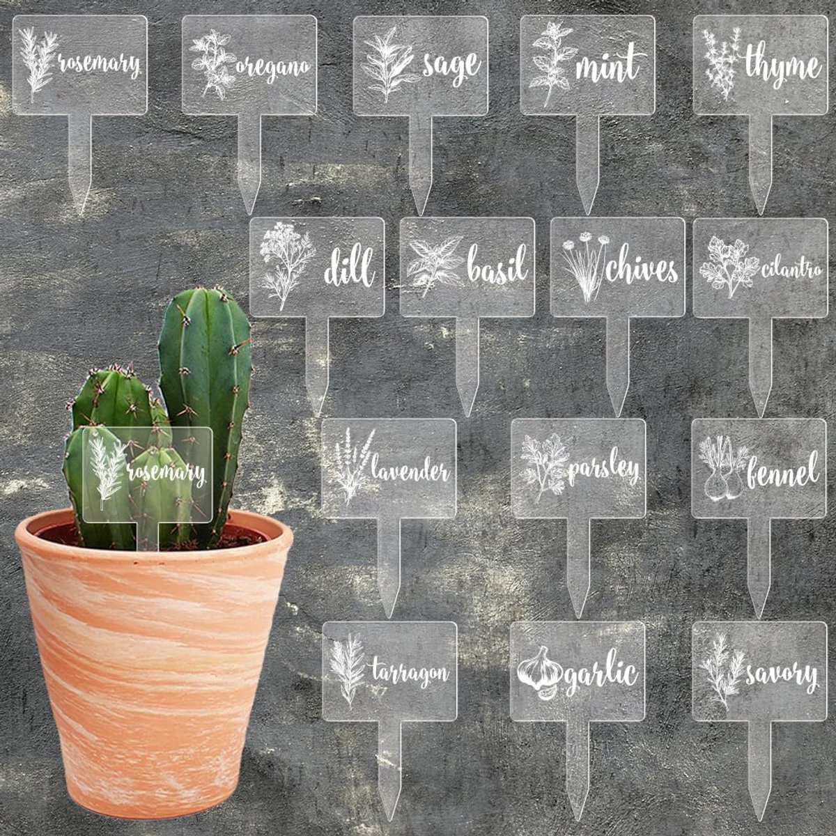 arricraft 15 stuks doorzichtige acryl plantenlabels, kruidenthema plantenetiketten met witte kruidenpatronen en namen T-vormige plantenmarkeringen, bulk voor laboratorium, tuin, kwekerij, potplanten