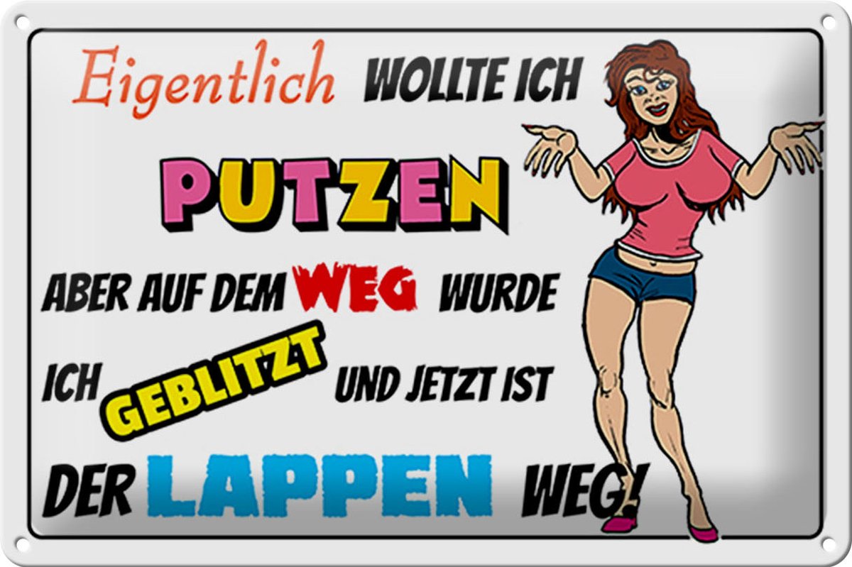 Blechschild Spruch 30x20cm eigentlich wollte ich putzen