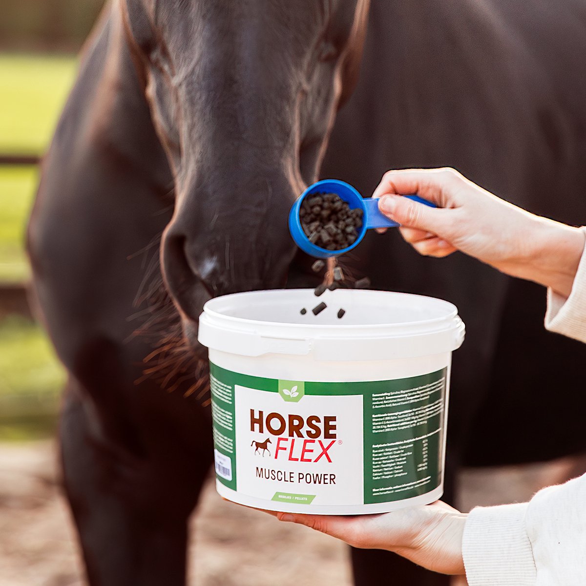 HorseFlex Muscle Power Complex 4200 Origineel