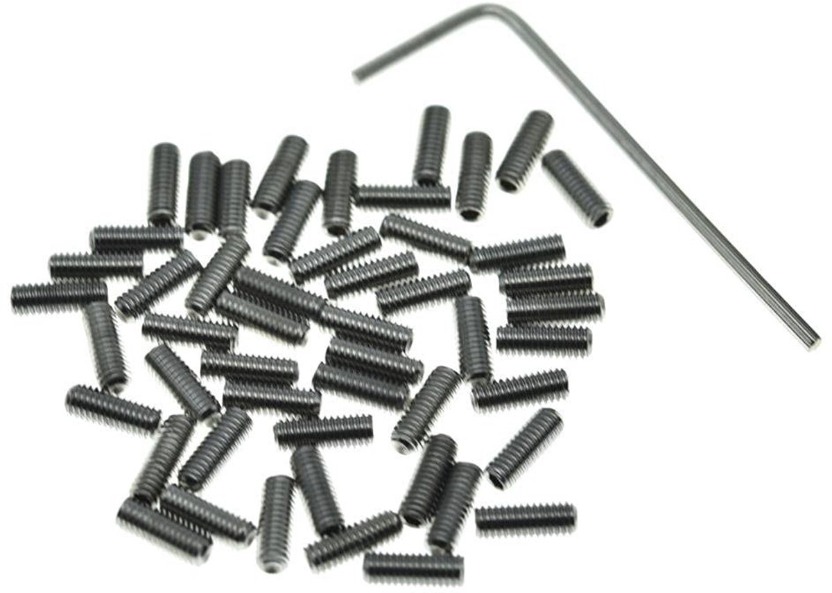 100-pack M3x8mm RVS hoogteverstelling schroeven voor gitaarbrug, geschikt voor Fender Stratocaster en Telecaster