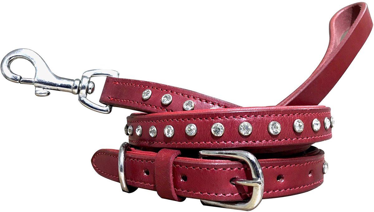 Solidchoice - Leren Hondenhalsband en Ceintuur Set voor Stellen