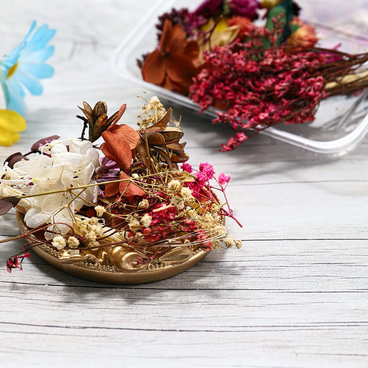 Solidchoice - Natuurlijke Gedroogde Geperste Bloemen voor Creatieve Projecten