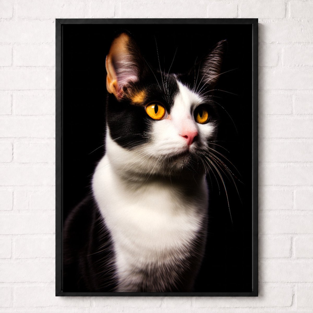 Zwart-Witte Kat Poster - Huisdieren Collectie - Dieren Posters - A1+ 61 x 91,5 cm