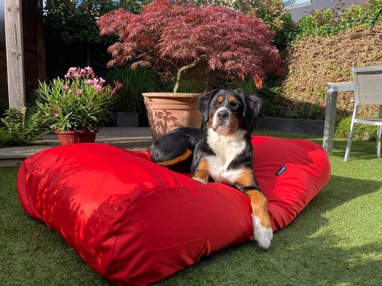 Dog's Companion Hondenkussen / Hondenbed - XL - 140 x 95 cm - Rood Water- en Vuilafstotende Coating - Waterafstotend