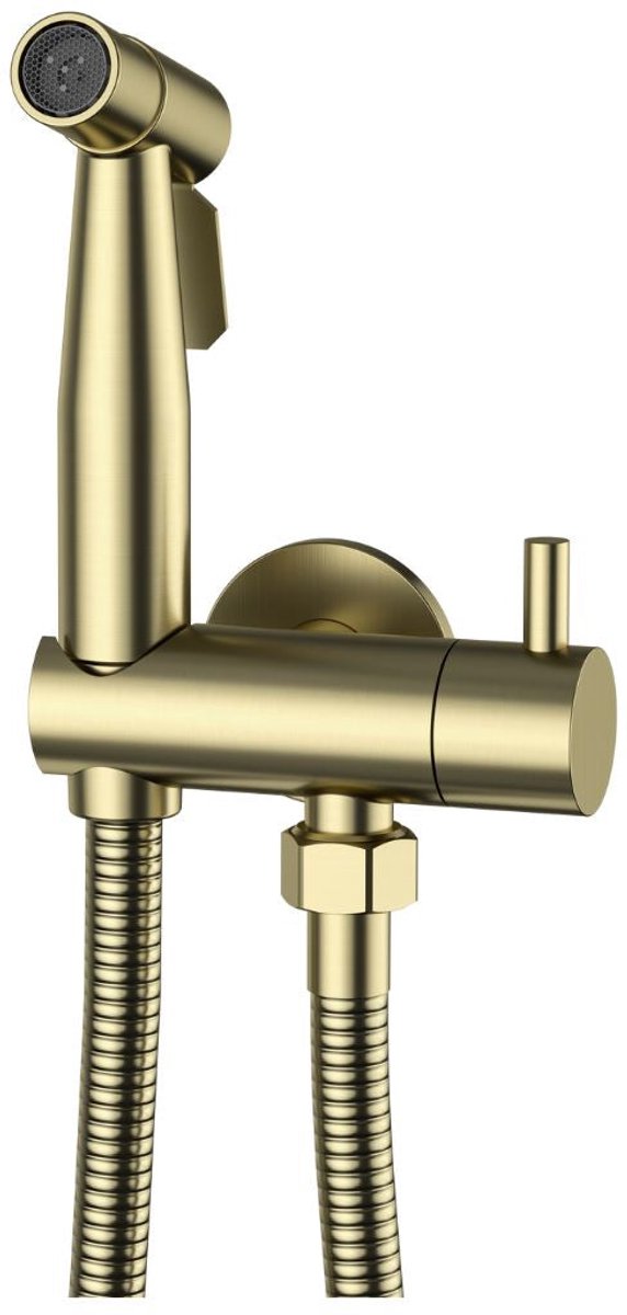 Bidetdouche set met wandhouder Sanitado Industry in mat goud
