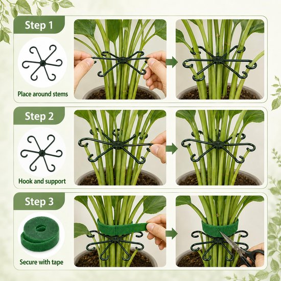 Pflantensteun set met bevestigingsclips voor Monstera en klimplanten — afbeelding 2