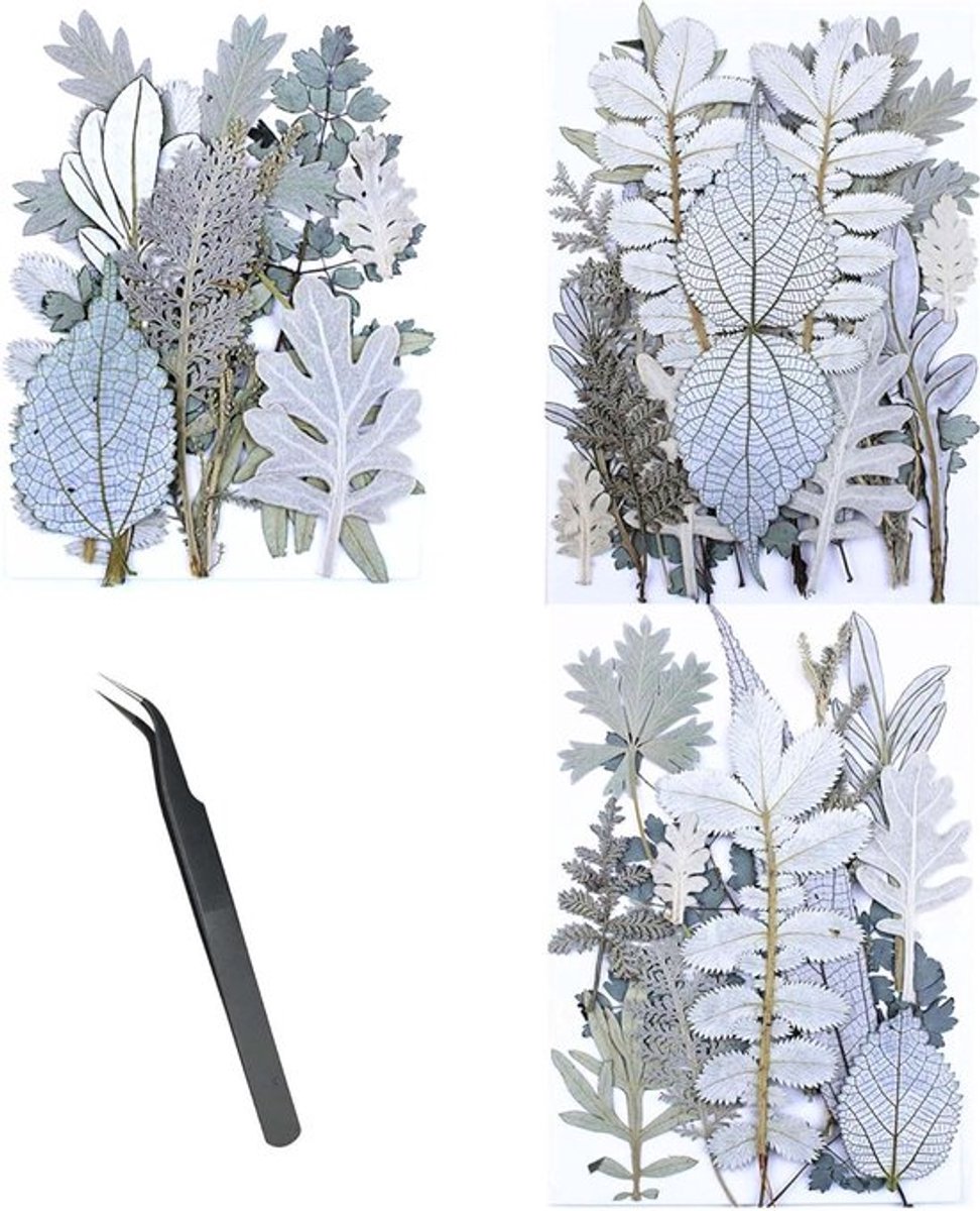 Gedroogde witte bloemen voor kaarsenhars DIY (46 stukken)