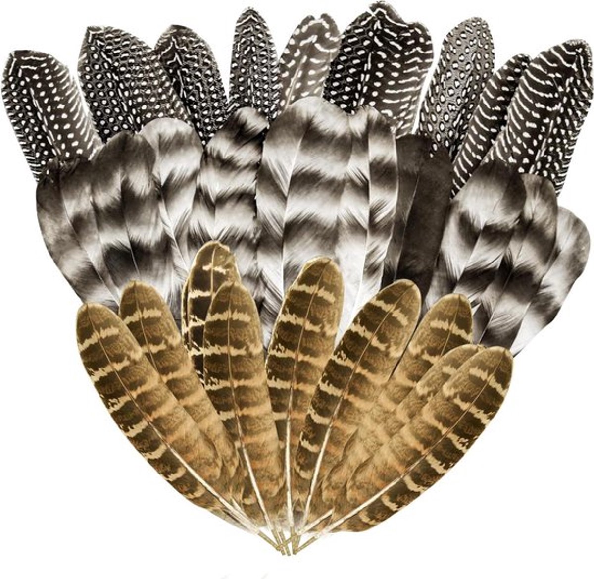 Inovra Plus - Natuurlijke veren voor knutselprojecten - Turkey Spotted - 30 stuks