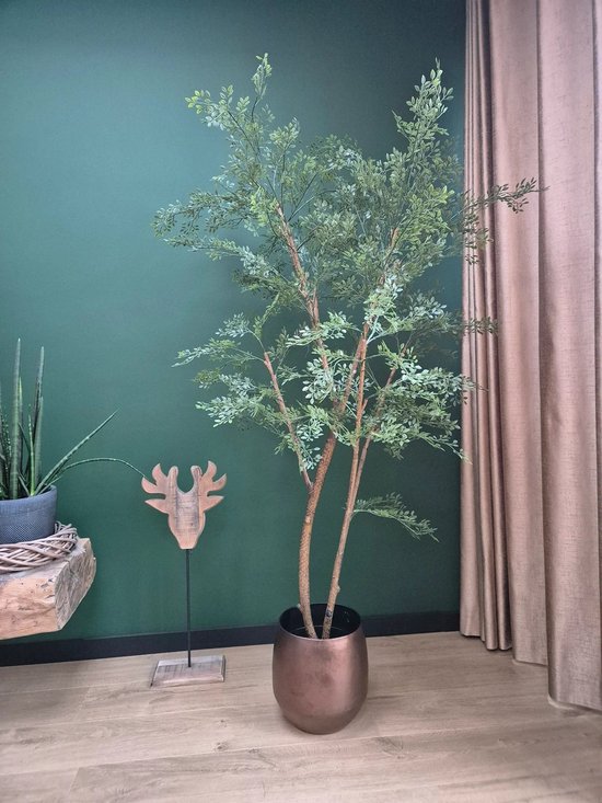 Florafy Kunstplant Cassia | 180cm - Plantes artificielles d'intérieur - Sans entretien